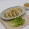 20G Frozen Dumplings